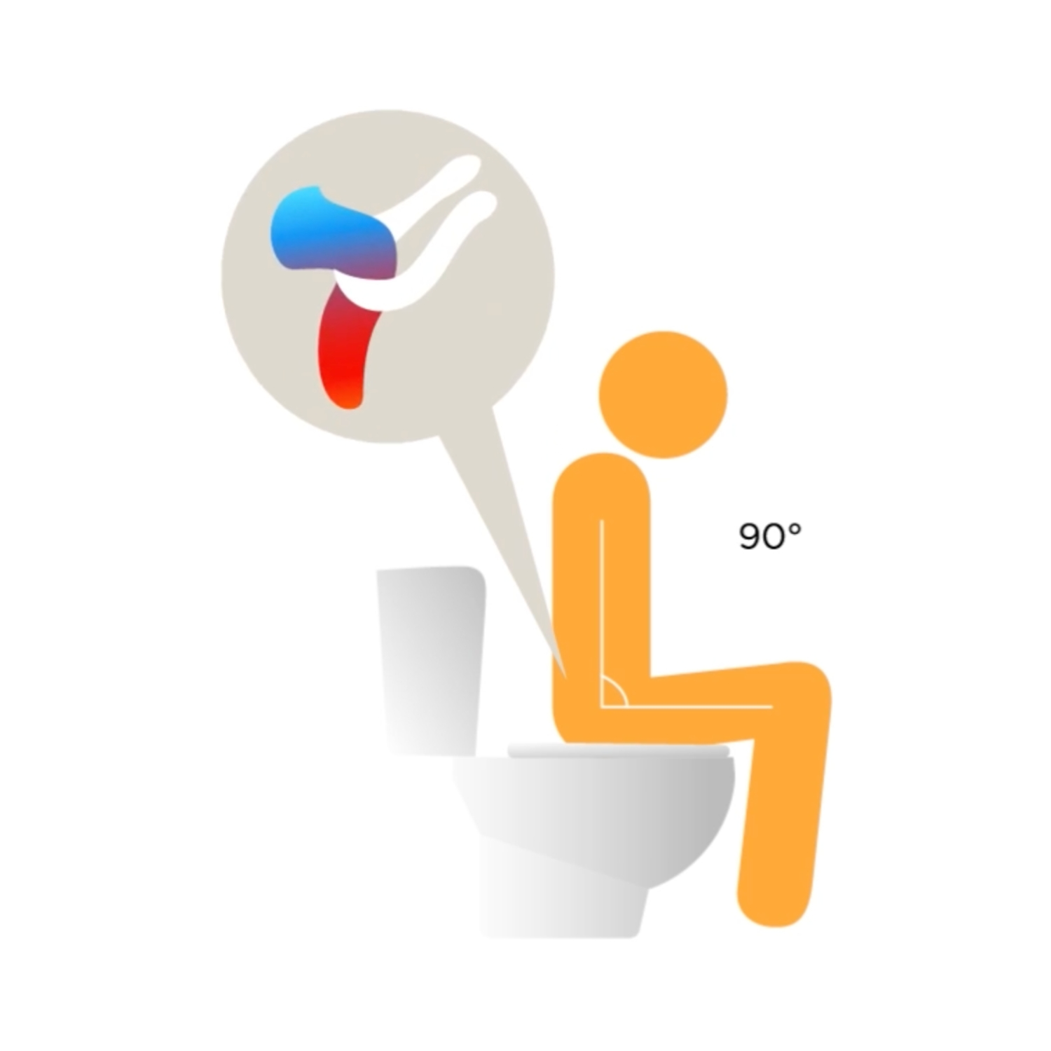 toilettenhocker-wellcare-position-ohne Ergonomischer WellCare-Toilettenhocker aus Buchenholz für eine natürliche Hockposition.